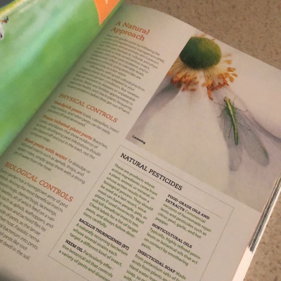 New Sunset Western Garden Book The 20 Minute Gardener. Projects, Plants, Designs - Picture 10 of 12